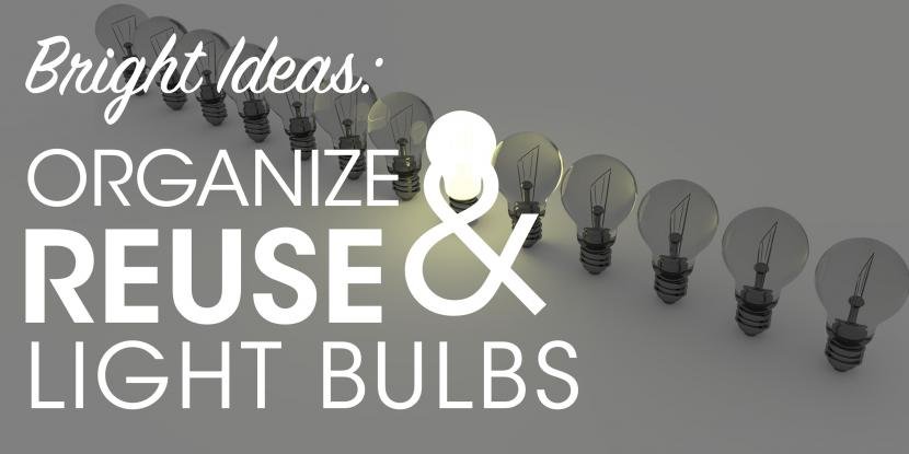 Bright Ideas: Organize and Reuse Lightbulbs