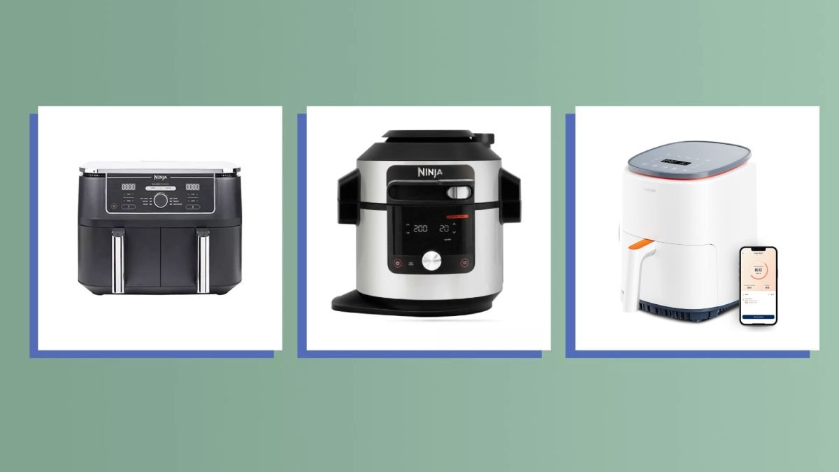 The 12 best air fryers of 2022 for quick, low-fat meals |