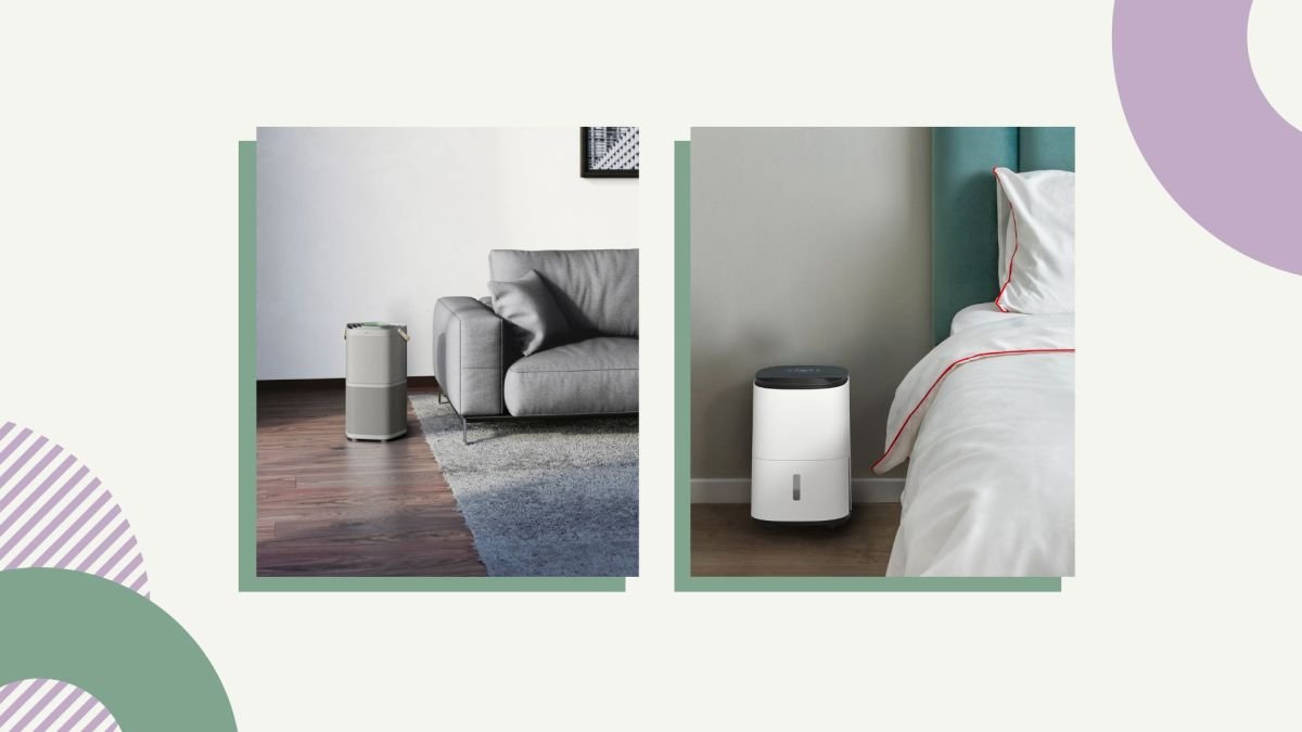 Air purifiers vs dehumidifiers, which is best for you? |