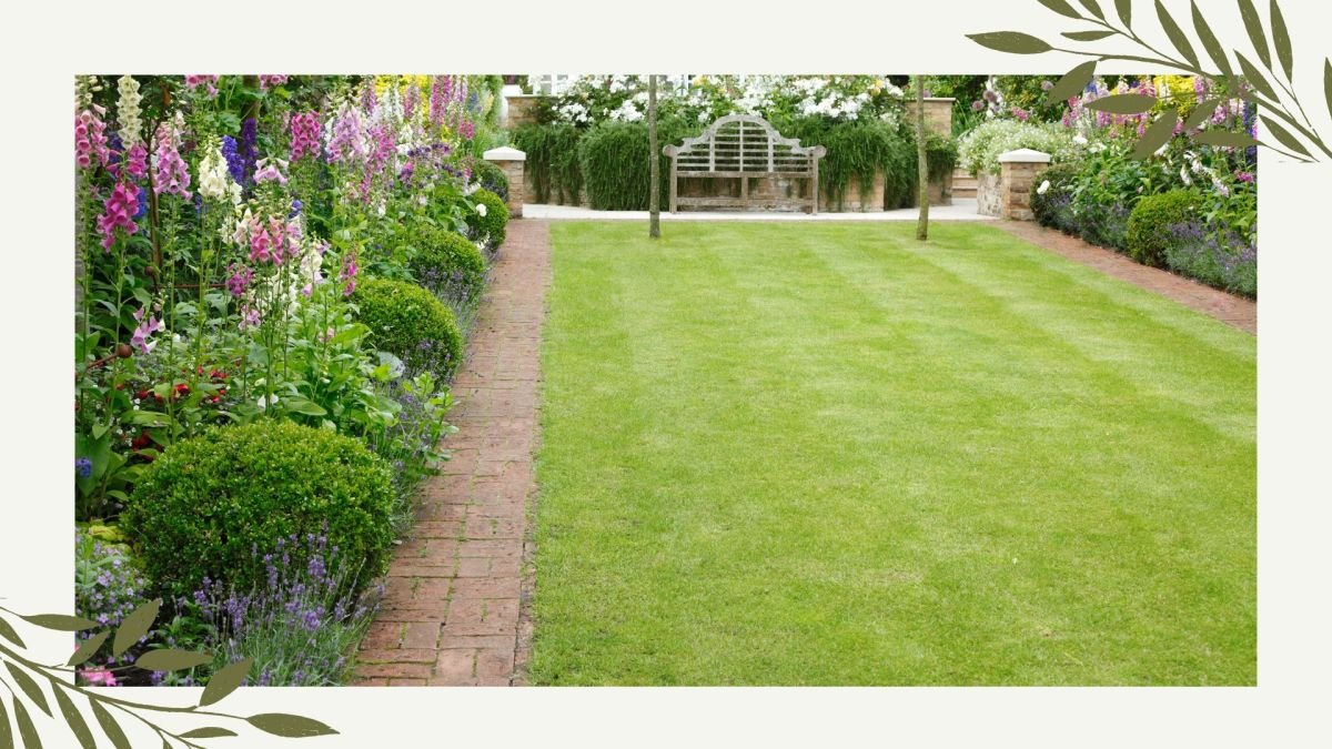Can you scarify a wet lawn? Experts share their advice