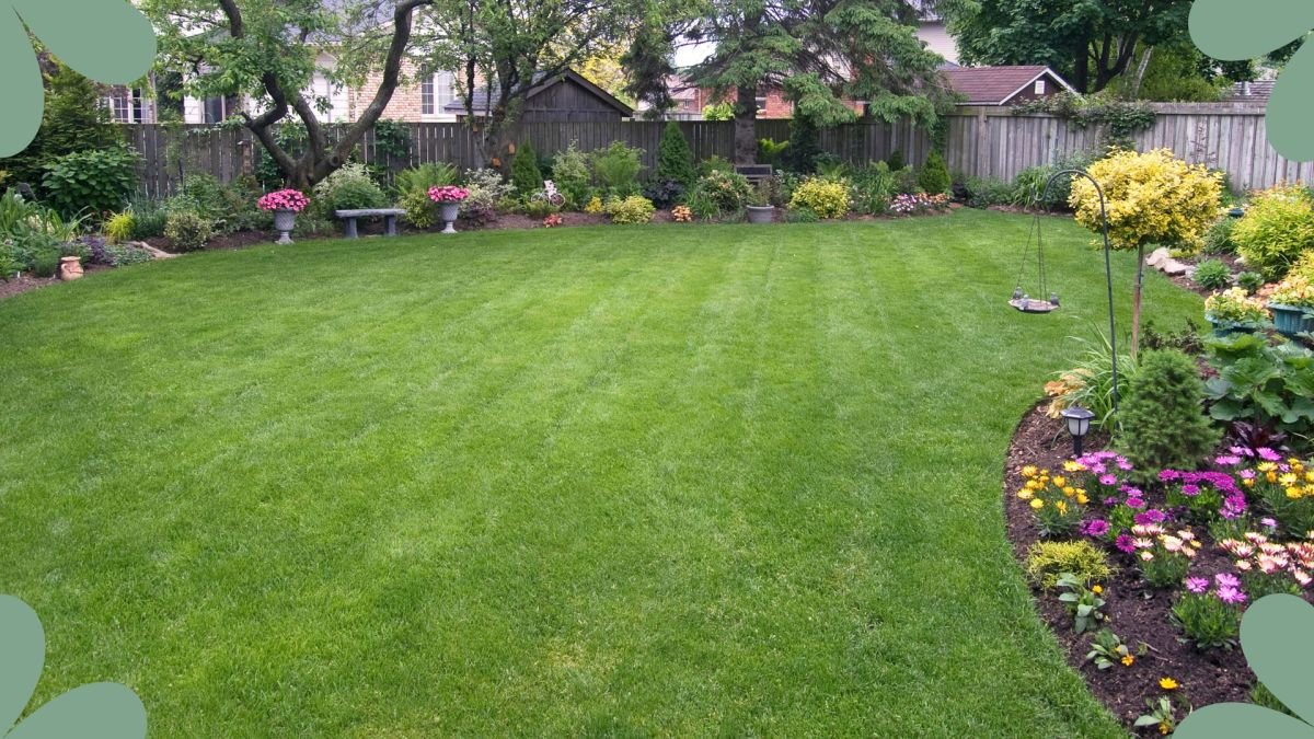 How often should you mow your lawn? Experts share advice