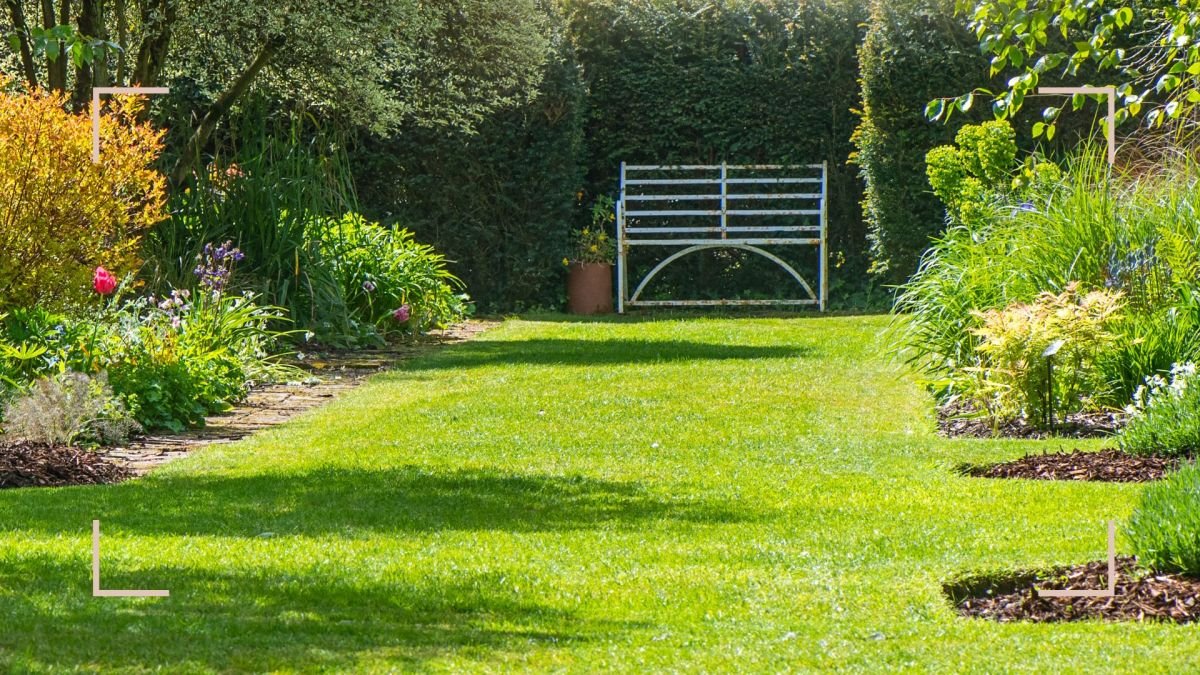 How long should you water your lawn in summer? Expert advice