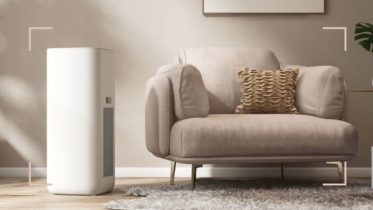 What size dehumidifier do I need? An expert guide on sizing